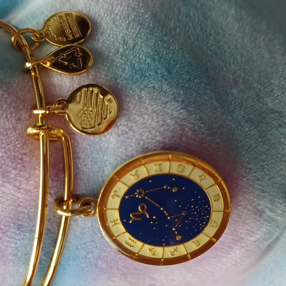 Capricorn Celestial Wheel expandable bangle by Alex and Ani RARE/DISCONTINUED - Picture 9 of 12